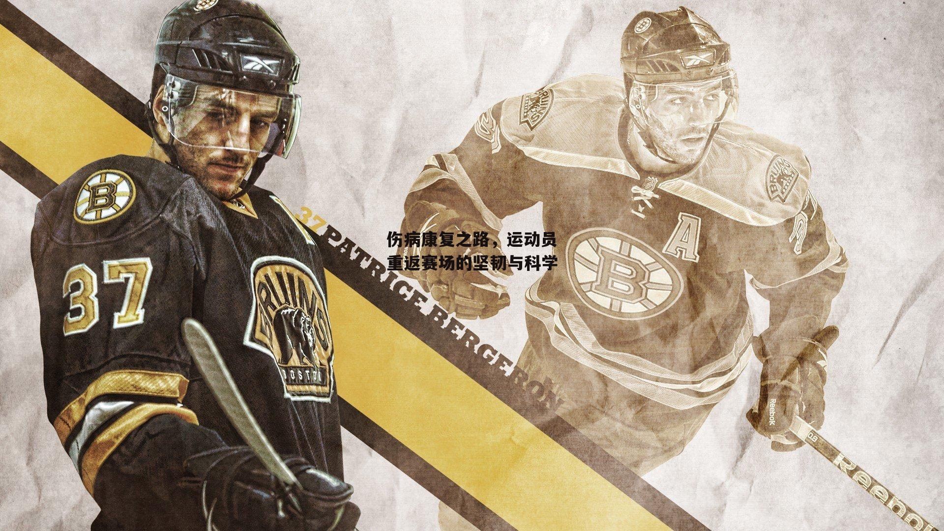 伤病康复之路,运动员重返赛场的坚韧与科学