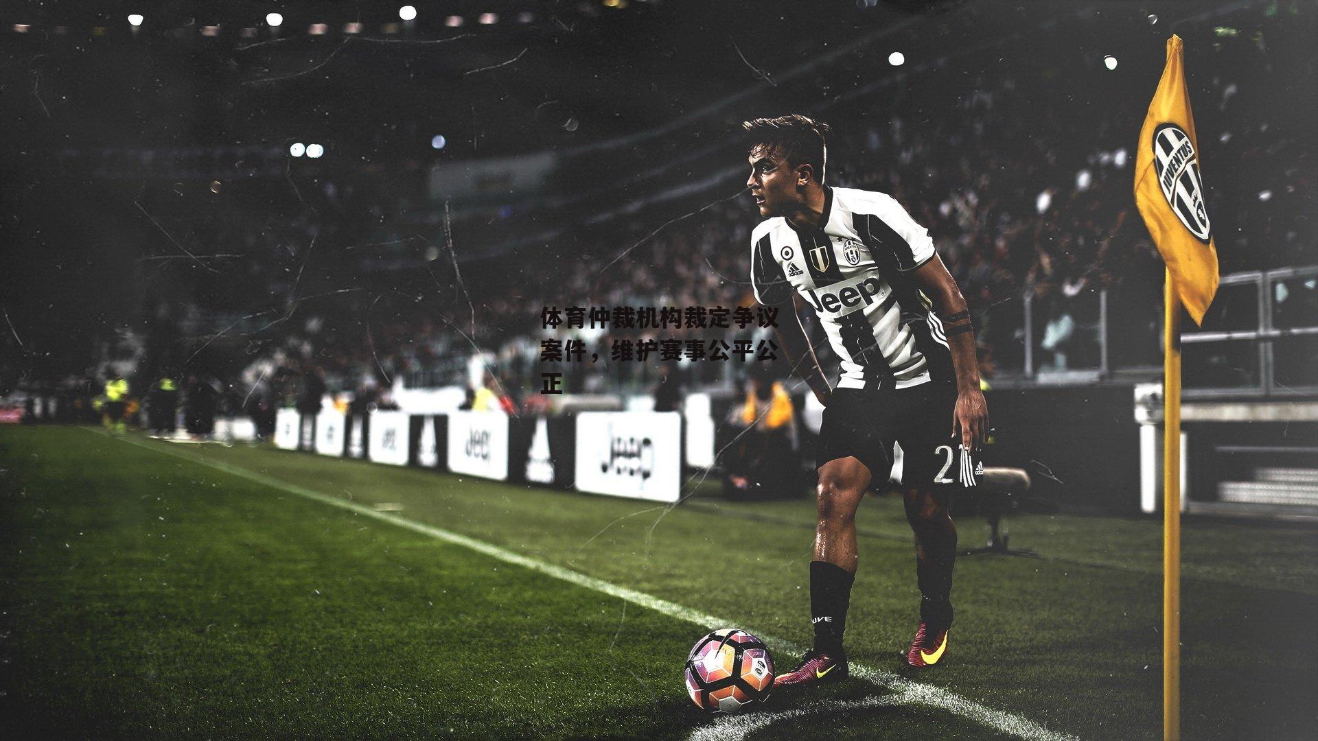 yy易游体育平台_体育仲裁机构裁定争议案件，维护赛事公平公正