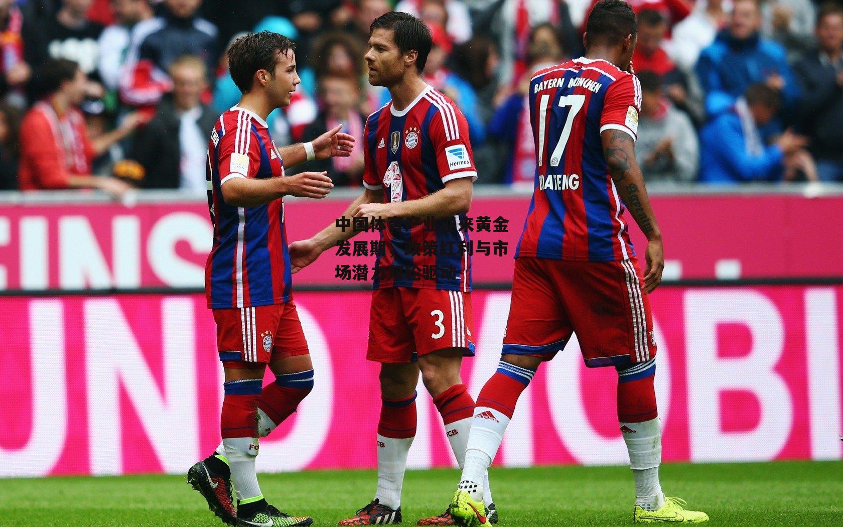 yy易游体育官网_中国体育产业迎来黄金发展期，政策红利与市场潜力双轮驱动